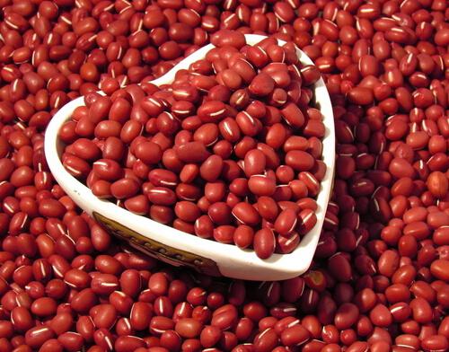 吃红豆能减肥吗 减肥能吃红豆吗?