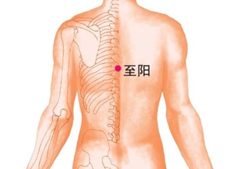 男性拔罐的位置图图解 男性壮阳拔罐的位置图