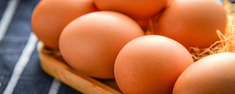 紫苏菜和鸡蛋吃有什么功效 紫苏鸡蛋怎么做好吃
