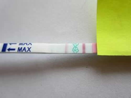 排卵试纸能测出来怀孕吗（排卵试纸能测出来怀孕吗怎么看?）