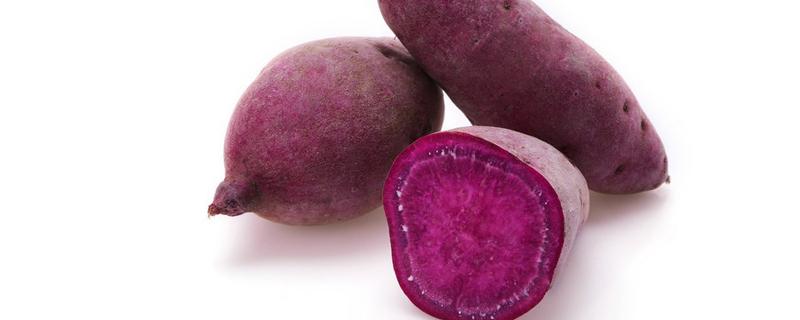紫薯和红薯哪个好 紫薯和红薯哪个更减肥