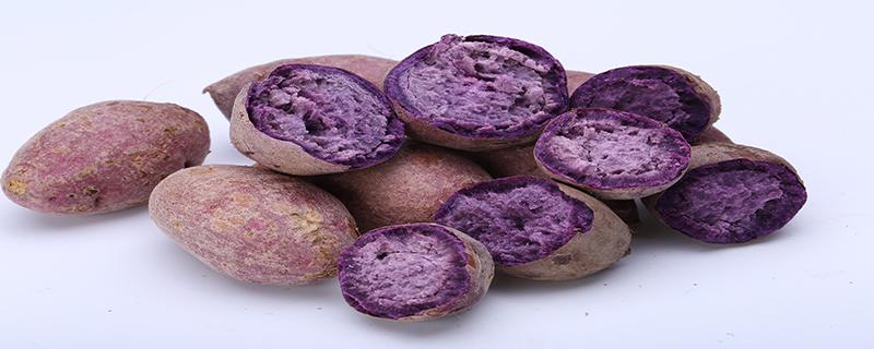 紫薯熬粥怎么是蓝色的正常吗 紫薯怎么熬粥不会出现蓝色