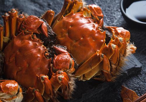 过敏性鼻炎能吃螃蟹吗 过敏性鼻炎能吃螃蟹吗?
