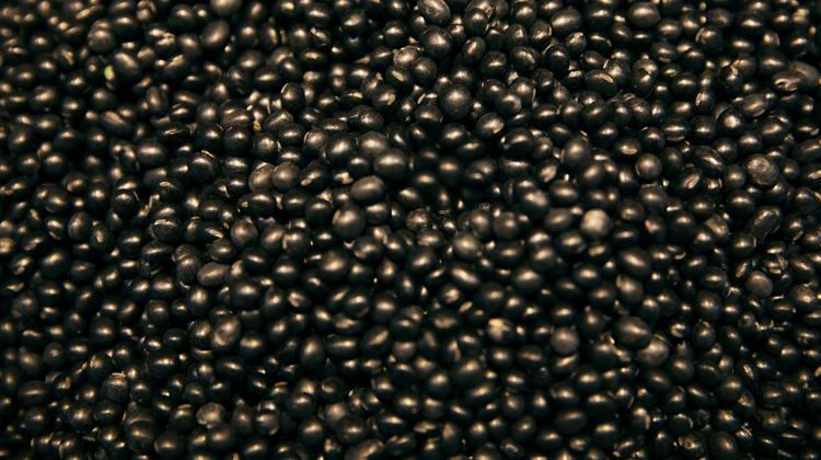 黑豆营养功效 黑豆的食用方式和注意事项