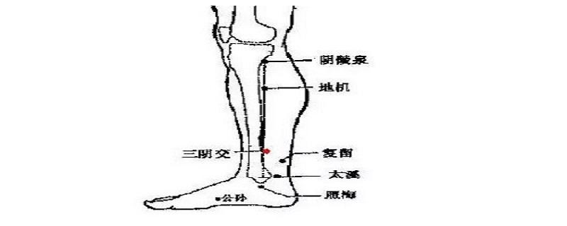 三阴焦位置图怎么按摩 三阴焦位置图和作用