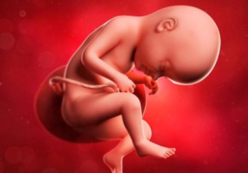 怀孕期间贫血对胎儿有什么影响 孕妇怀孕贫血对胎儿有什么影响