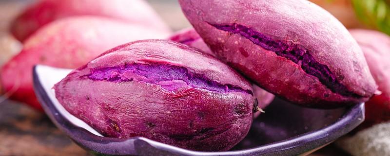 紫薯发芽了怎么办 紫薯发芽还可以吃吗