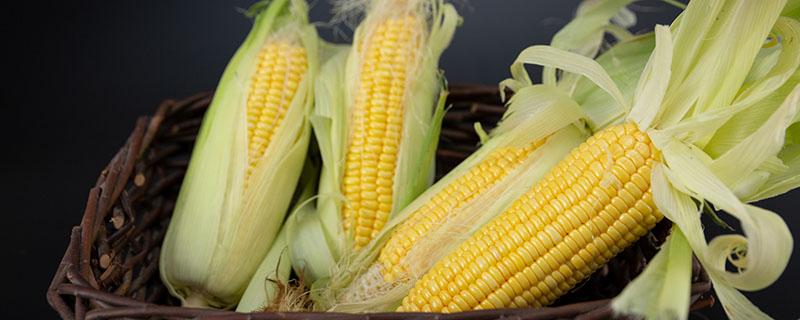 玉米的热量是多少 玉米热量高为什么还减肥