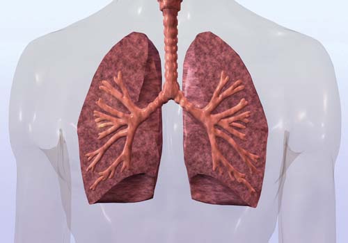 肺结核会传染吗 肺结核会传染吗,对身边的人有影响吗