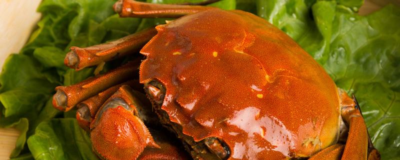 螃蟹里面黑色的能吃吗 螃蟹里有寄生虫吗