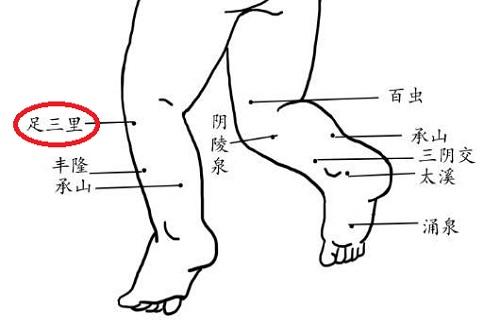 小儿足三里的准确位置图和作用 小宝宝足三里的准确位置图