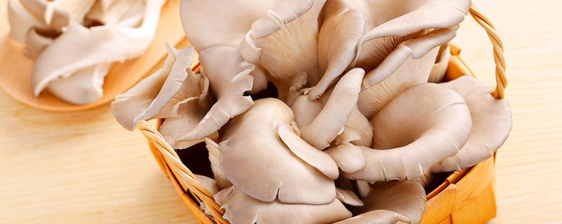 冻蘑菇能吃吗 冷冻蘑菇可以吃吗