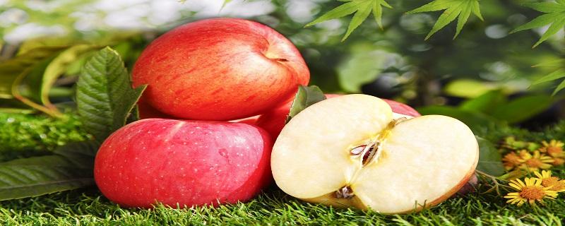 吃苹果可以养胃吗 苹果怎么吃养胃最好