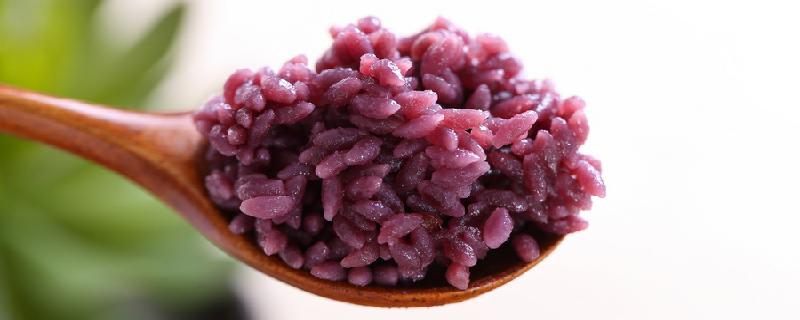 减肥可以用紫米代替米饭吗 紫米可以天天吃吗