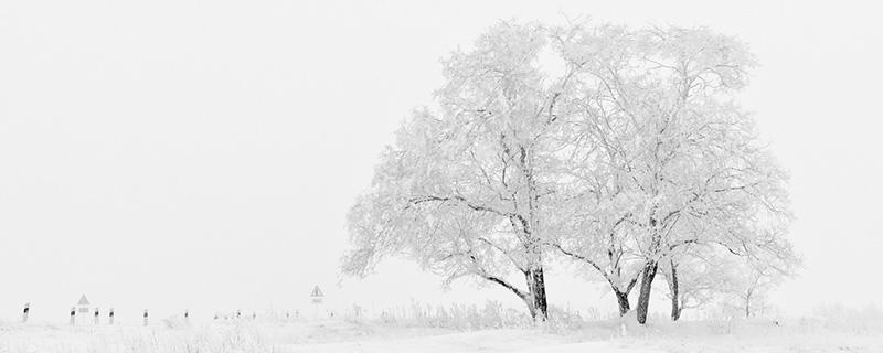 小雪是几月几日2018年 2016年小雪是几月几日