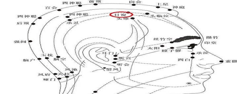 目窗作用和功效（目窗的准确位置及功效）