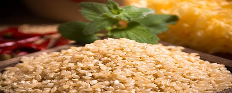 100克糙米的热量是多少大卡 糙米热量高不高