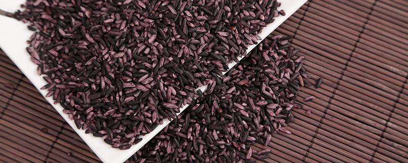 紫米吃了减肥效果好吗 紫米怎么吃才减肥