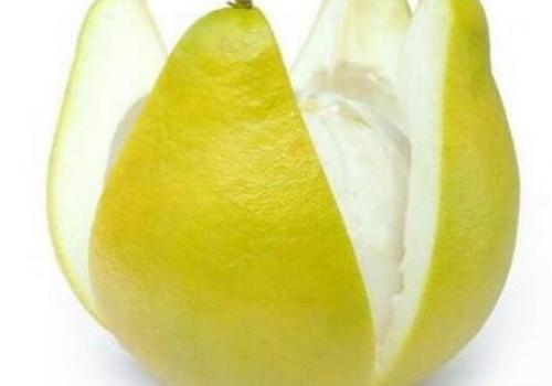 柚子皮有什么作用 柚子皮有什么作用?