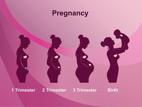 宫外孕切除了一侧卵软管还能生育吗（宫外孕切除了一侧输卵管还能生育吗）