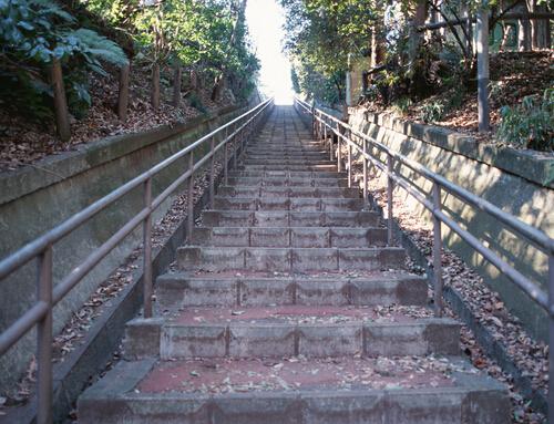 爬楼梯和跑步哪个减肥效果好 爬楼梯和跑步哪个更减肥