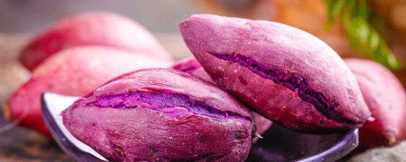 紫薯是转基因食品吗 紫薯不能和什么一起吃