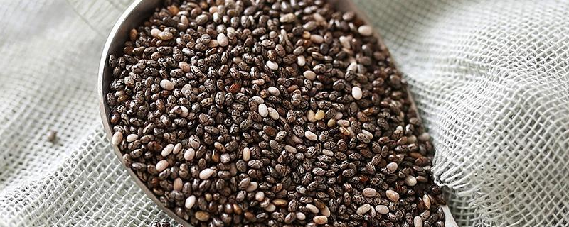 奇亚籽搭配什么有减肥效果 燕麦和奇亚籽哪个减肥