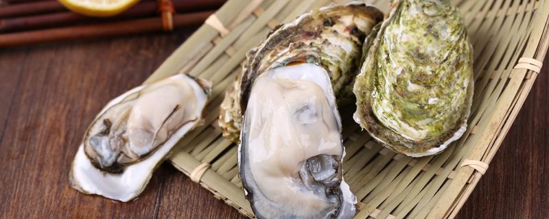 牡蛎煮多长时间 带壳的牡蛎蒸多长时间