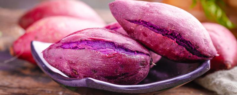 紫薯不能跟什么一起吃 一天吃多少紫薯最适合