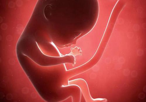 怀孕期间熬夜对宝宝有影响吗（怀孕期间经常熬夜对宝宝有什么影响）