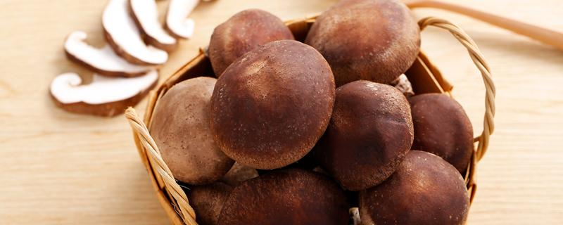 香菇放冰箱里变黑了还能吃吗 香菇长期食用会对身体有害吗