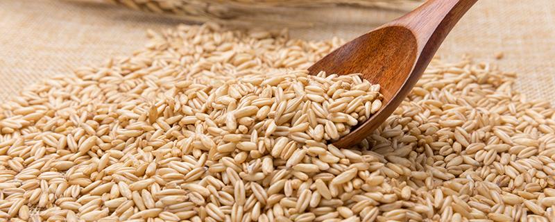 吃燕麦对身体有什么好处 吃燕麦有哪些好处