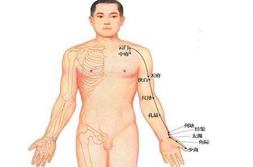 手太阴的准确位置图片（手太阴的准确位置图片及功效）