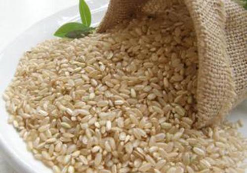糙米与什么搭配比效好 糙米什么人吃好