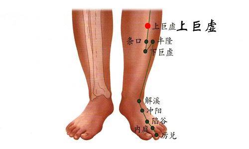 上巨虚的准确位置图 上巨虚的准确位置图图解