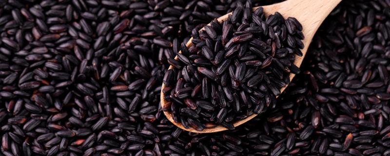 血糯米是什么是紫米吗 黑米血糯米的区别