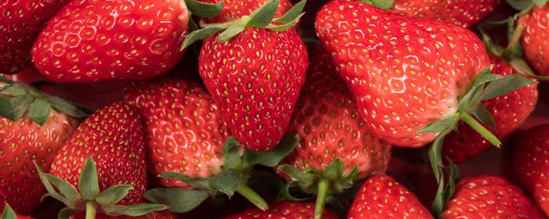 冬天草莓什么时候上市 冬天草莓是反季节吗