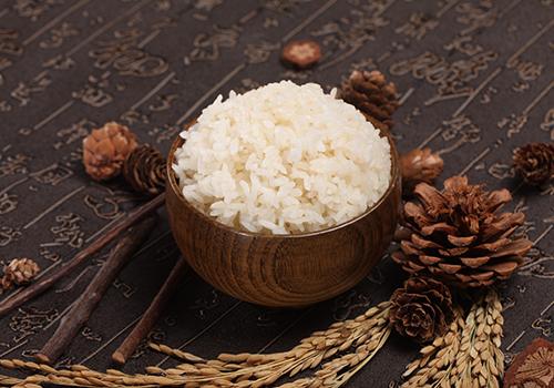 不吃米饭能不能减肥 不吃饭米饭能减肥吗