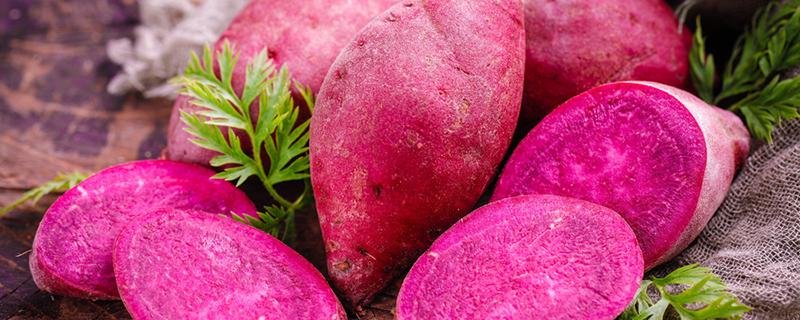 经常吃紫薯有什么好处 吃紫薯有哪些功效