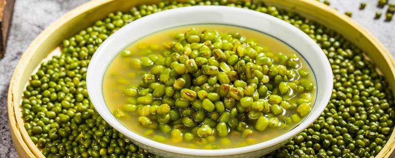 绿豆汤水和绿豆的比例是多少 一个人喝绿豆汤放多少绿豆