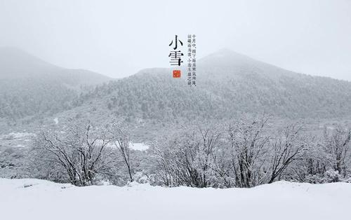 小雪养生吃什么（小雪吃什么食物养生窍门）