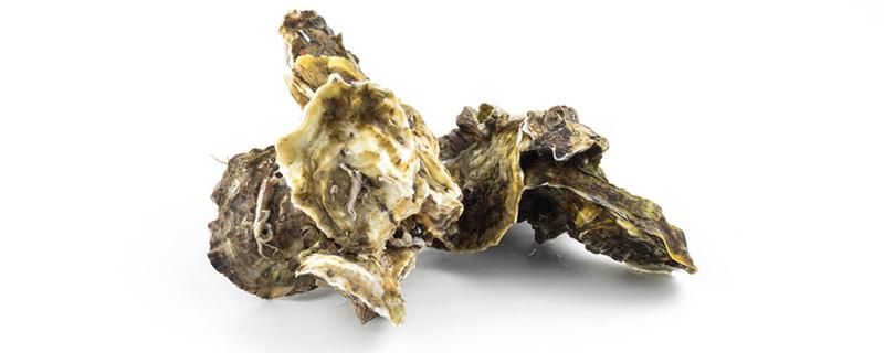牡蛎壳粉有什么功效 牡蛎壳粉有什么用途