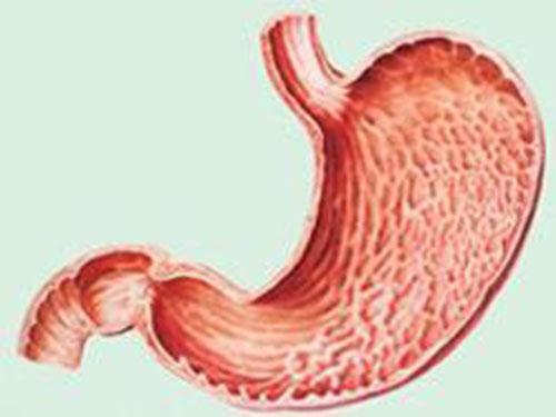 慢性胃炎是什么引起的（慢性胃炎是什么引起的特异性炎症 单选题）