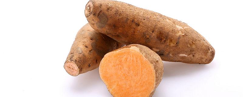 红薯是碳水化合物吗 吃红薯可以减肥吗