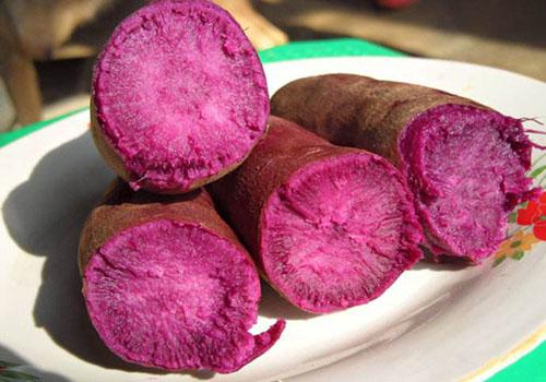 女性为什么不能吃紫薯 女性吃紫薯有什么好处