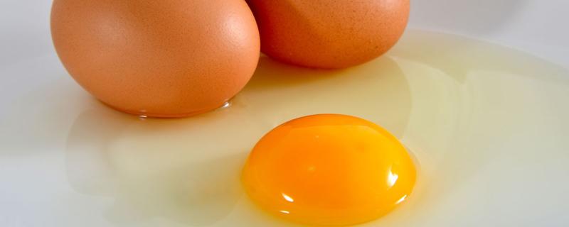 有痰能吃香油炒鸡蛋吗 吃完香油炒鸡蛋能喝水吗