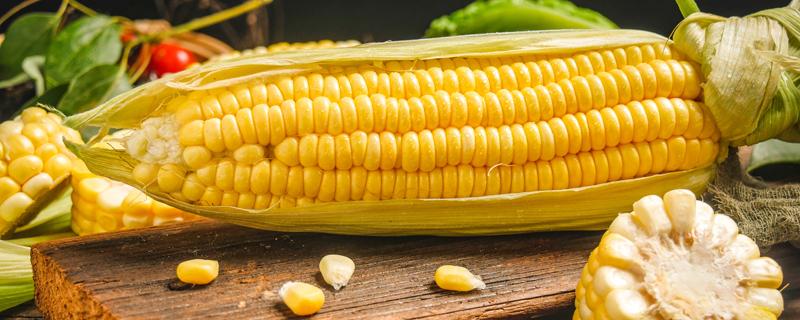 玉米存放冰箱是熟的好还是生的好 煮熟的玉米冷冻可以保存多久