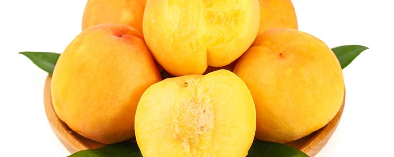黄桃哺乳期可以吃吗 哺乳期吃黄桃罐头会回奶吗