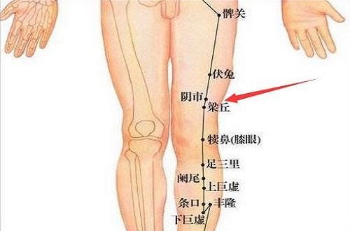 梁丘的准确位置图和作用 梁丘的准确位置图片及作用上