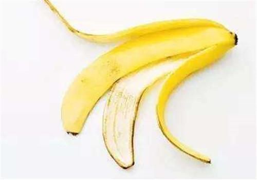 香蕉皮的用处有哪些 香蕉皮的十大用处